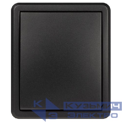 Выключатель 1-кл. ОП Эксперт 11-1202-05 10А IP20 250В 10AX с подсветкой антрацит Эра Б0063044