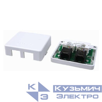 Розетка компьютерная 2-м кат.5E DKC RNW5E2WH