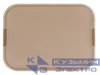 Стекло для электрощитов пластик IEK YWN11