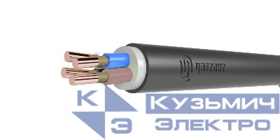 Кабель ВВГнг(А)-FRLS 4х10 ОК (N) 0.66кВ (м) Цветлит 00-00140704