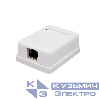 Розетка компьютерная 1-м 8P8C (RJ-45) FTP 5е SUPRLAN 10-0354