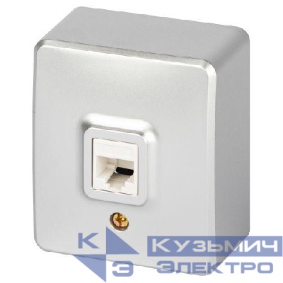 Розетка Эксперт 11-3203-03 информационная RJ45 IP20 ОУ алюм. Эра Б0063009