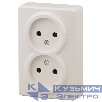Розетка 2-м ОП Эра Эксперт 11-2202-02 16А IP20 250В 2х2P сл. кость Эра Б0020683