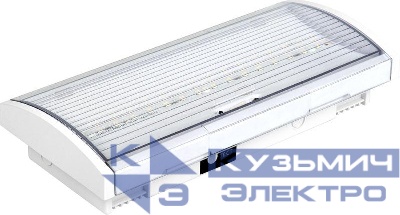 Светильник светодиодный ДПА 5043-3 IP54 3ч аварийный постоянного действия 10-24/220В IEK LDPA1-5040-3-54-K01