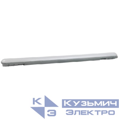 Светильник светодиодный SPP-211-0-65K-048 48Вт 6500К IP65 1200мм матов. Эра Б0069205