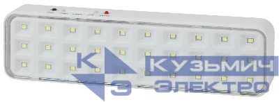 Светильник светодиодный DBA-102-0-20 30LED 5ч IP20 выход аварийный непостоянный Эра Б0044395