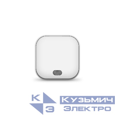 Выключатель 1-кл. 1п ОП 10А IP20 с подсветкой бел. IONICH 1412