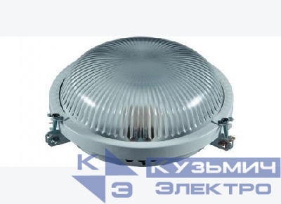 Светильник НПП 03-100-005 100Вт E27 IP65 промышленный накладной Владасвет СТЗ 10118