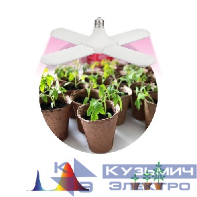 Лампа светодиодная FITO-36W-RB-E27-FOLD 36Вт Е27 4-лепестковая для растений красн./син. спектр Эра Б0053289