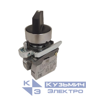 Переключатель КПЕ-1611-РС УХЛ2 1НО+1НЗ 10А IP65 рукоятка на 2 положения с фиксацией метал. осн. d посадочного отверст. 22мм черн. ЭЛЬКОМ A8012-34123069