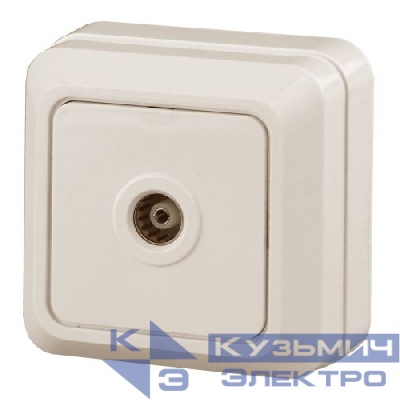 Розетка телевизионная одиночная TV ОП Quadro 2-301-02 IP20 сл. кость Intro Б0027659