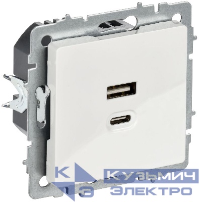 Розетка СП BRITE РЮ11-2-БрБ USB A+C 45Вт высокоскор. заряд. бел. IEK BR-U22-045-K01