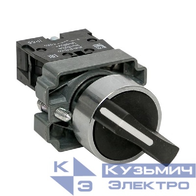 Переключатель BD21 2P короткая ручка NO IP65 PROxima EKF xb2-bd21-65