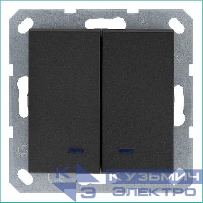 Выключатель 2-кл. 10А IP20 с подсветкой механизм антрацит Jasmart G3023NB