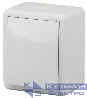 Переключатель 1-кл. ОП Эра Эксперт 10А IP54 11-1403-01 250В 10AX бел. Эра Б0020673