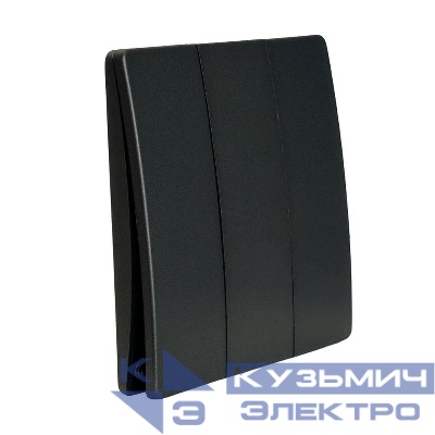 Выключатель дистанционного управления 3-кл. TM93 IP65 7мВт графит FERON 51025