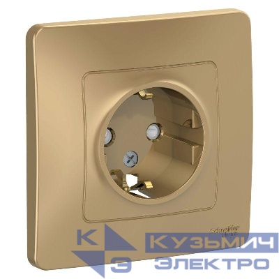 Розетка 1-м СП Blanca 16А IP20 250В с заземл. защ. шторки титан SE BLNRS001114