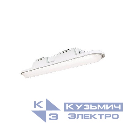 Светильник светодиодный ДСП51-20-005 Leader 840 LED 19Вт 4000К IP67 Ардатов 1168420005