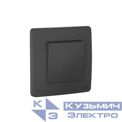 Переключатель 1-кл. СП Blanca 10А IP44 (сх.6) 250В антрацит SE BLNVS410606