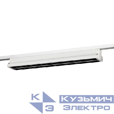 Светильник трековый 1ф TR54 - 5040 WH 50Вт 4000К 45град. бел. Эра Б0059552