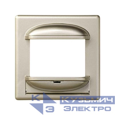Накладка на 75343-39 Simon82/82Nature шампань 82060-34