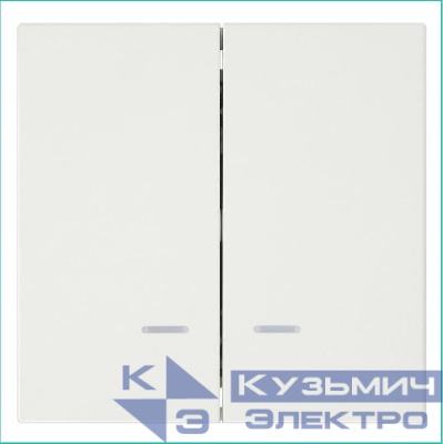 Выключатель 2-кл. СП FD 10А IP20 с подсветкой с накладкой механизм сахара Jasmart FD3023NSH