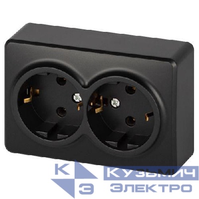 Розетка 2-м ОП Эксперт 11-2205-05 16А IP20 250В 2х2P+E Schuko с заземл. антрацит Эра Б0063047
