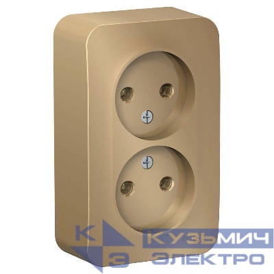 Розетка 2-м ОП Blanca 16А IP20 250В без заземл. без защ. шторок с изолир. пластиной титан SE BLNRA000214