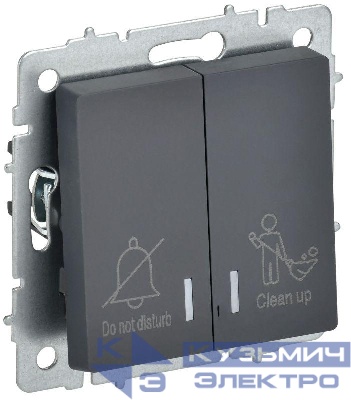 Выключатель 2-кл. BRITE 10А ВС10-2-9-БрГ для отелей с индик. механизм графит IEK BR-V20-2-10-K53