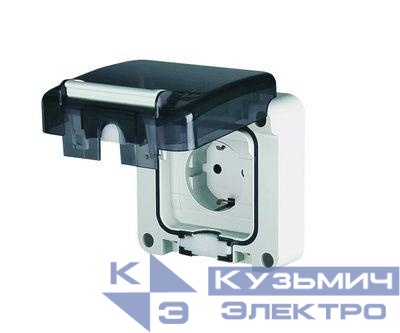 Розетка скрыт. уст. IP66 с вставленной вилкой DKC DIS1374407