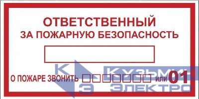 Наклейка "Ответственный за пожарную безопасность" B03 100х200мм PROxima EKF an-4-05