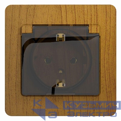 Розетка 1-м СП Glossa 16А IP20 с заземл. защ. шторки с крышкой в сборе дерево дуб SE GSL000546