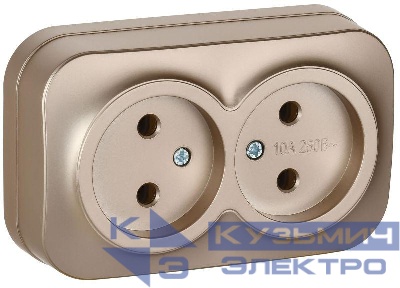 Розетка 2-м ОП GLORY РС22-2-ХШм 10А без заземл. без защ. шторок шампань матов. IEK ERH20-K37M-10