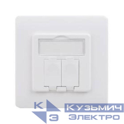 Адаптер настенный для модулей Keystone (для модулей форм-фактора S19) DKC RNW1W