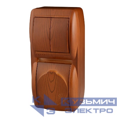 Блок Nata (розетка с заземл. с защ. крышкой + 2-кл. выкл.) вертикал. сосна LEZARD 710-0800-173