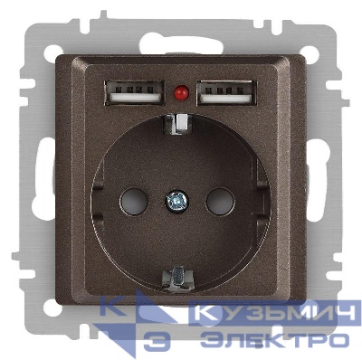 Розетка 1-м СП Accent 6-410-08 16А IP20 250В P+E Schuko + 2хUSB защ. шторки бронза Intro Б0063704