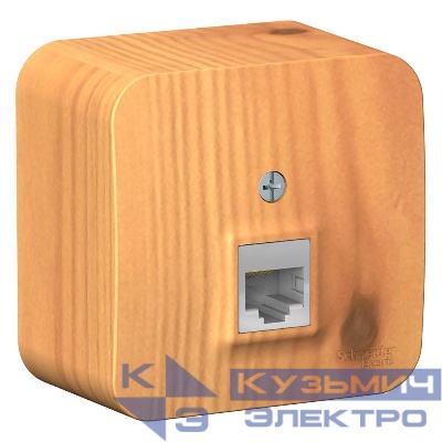 Розетка компьютерная 1-м ОП Blanca RJ45 кат.5E с изолир. пластиной ясень SE BLNIA045005