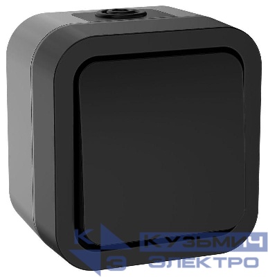 Выключатель кнопочный 1-кл. ОП TORS TS110 10А IP55 графит IEK TS-V14-0-10-55-K53