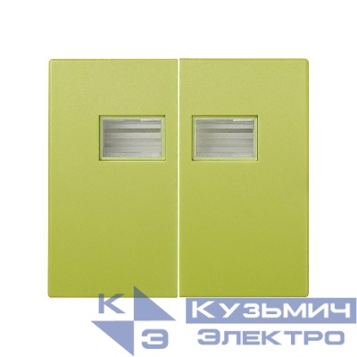 Клавиша двойная для выкл. с подсветкой Simon44 Aqua фисташковый 4400026-065