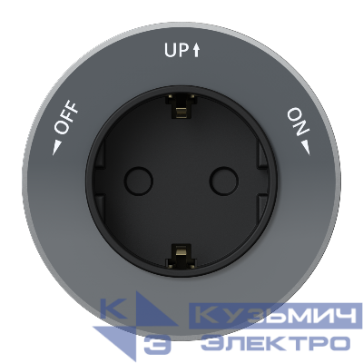 Розетка MultiTrack 16А 250В 2P+E кругл. графит SE MTK13001G