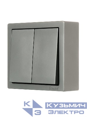 Выключатель 2-кл. ОП LETO платина LEZARD 752-3500-101