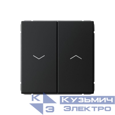Выключатель для жалюзи 2-кл. ArtGallery 2х (сх. 4) 10А механизм карбон SE GAL001019