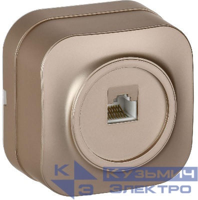 Розетка компьютерная ОП RJ45 кат.5E GLORY РК10-ХШм шампань матов. IEK EKH10-K37M