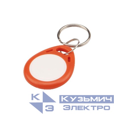 Ключ электронный (брелок) 13.56МГц формат Mifare Rexant 46-0223