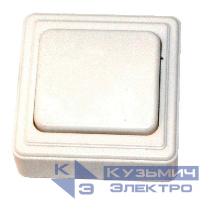 Выключатель 1-кл. ОП 6А IP20 бел. БЕЛТИЗ А16-027