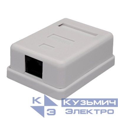 Розетка компьютерная 8P8C RJ-45 UTP кат.6 1 порт (DIY) SUPRLAN 10-0355-1
