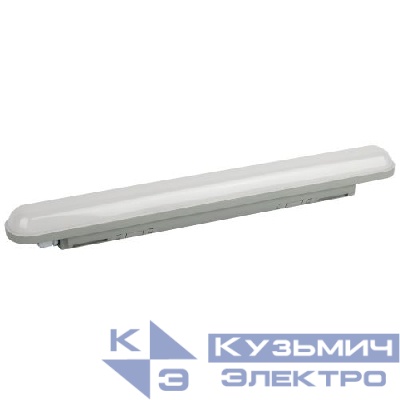 Светильник светодиодный SPP-211-0-65K-036 36Вт 6500К IP65 600мм матов. Эра Б0069203