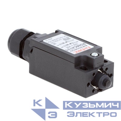 Выключатель концевой с двумя нормально закрытыми контактами (NC+NC) исполнение с кнопкой DKC R5MC4131