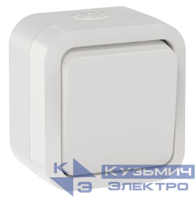 Выключатель 1-кл. 2п ОП TORS TS311 10А IP55 бел. IEK TS-V16-0-10-55-K01