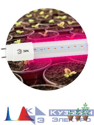 Лампа светодиодная FITO-9W-RB-Т8-G13-NL 9Вт T8 линейная 48LED 2835 IP20 35000ч для растений/для подсветки мясных витрин красн./син. спектр стекло Эра Б0042986